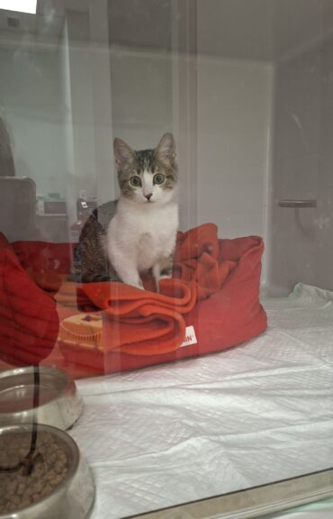 WhatsApp Image 2025-11-28 at 17.23.27